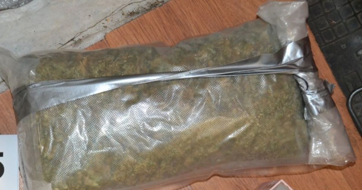 marihuana w worku