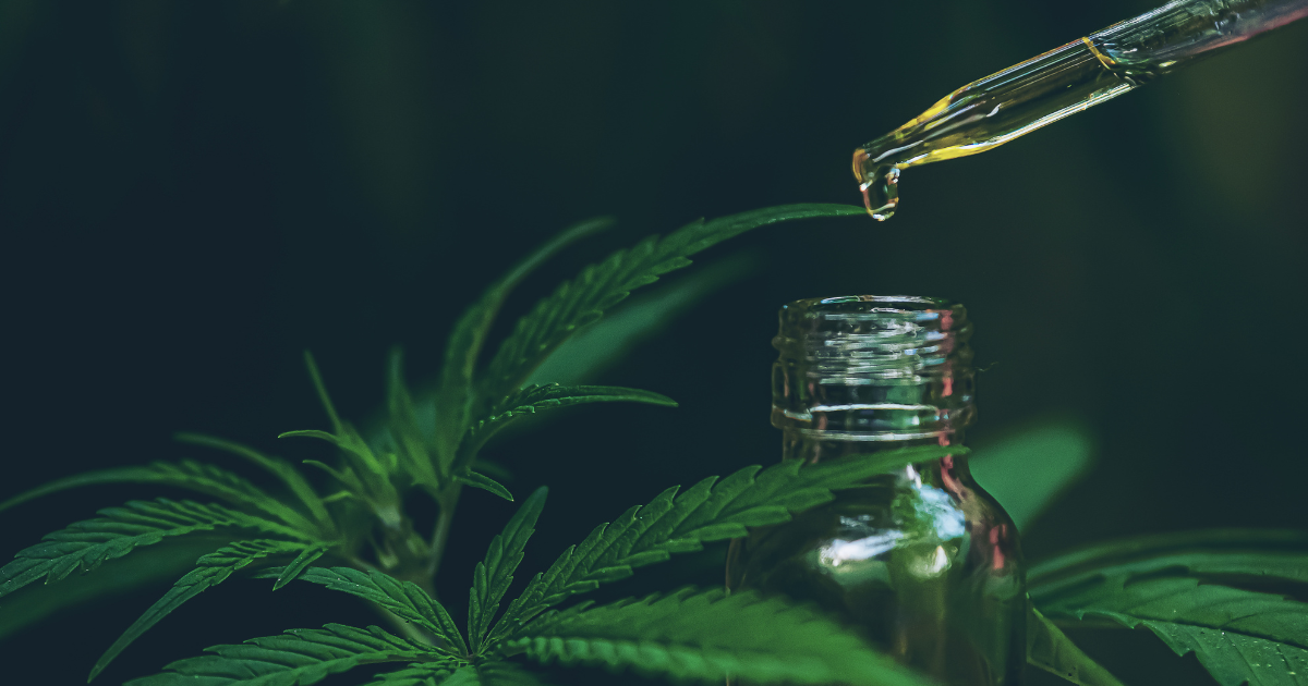 jak dziala cbd