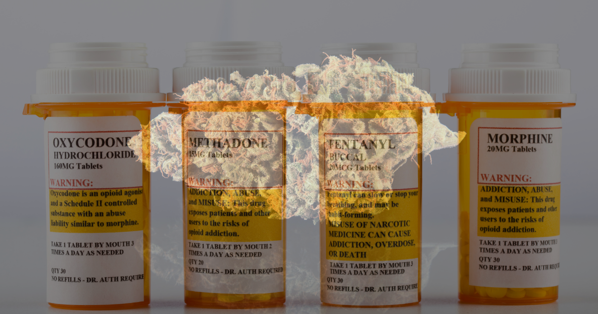opioidy USA