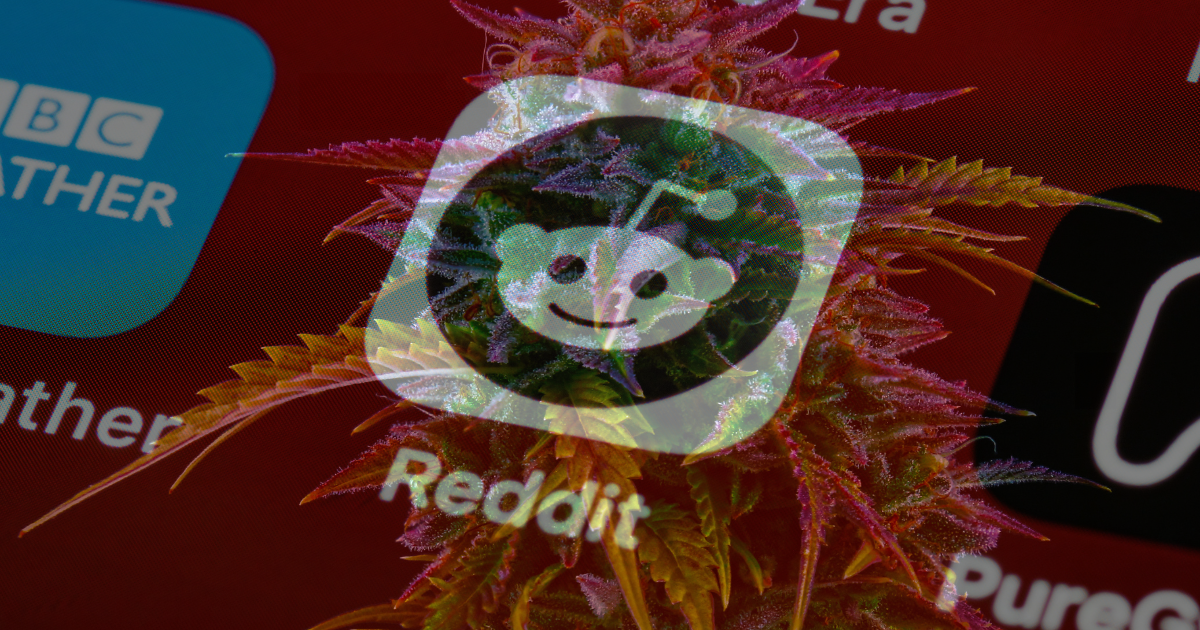 Reddit