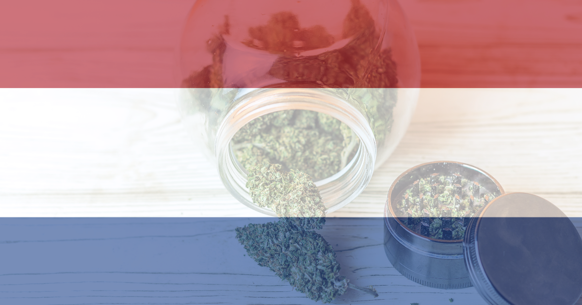 Holandia marihuana
