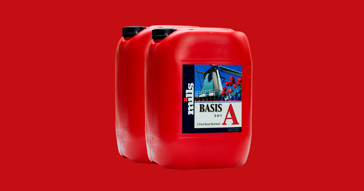 Mills Basis A&B