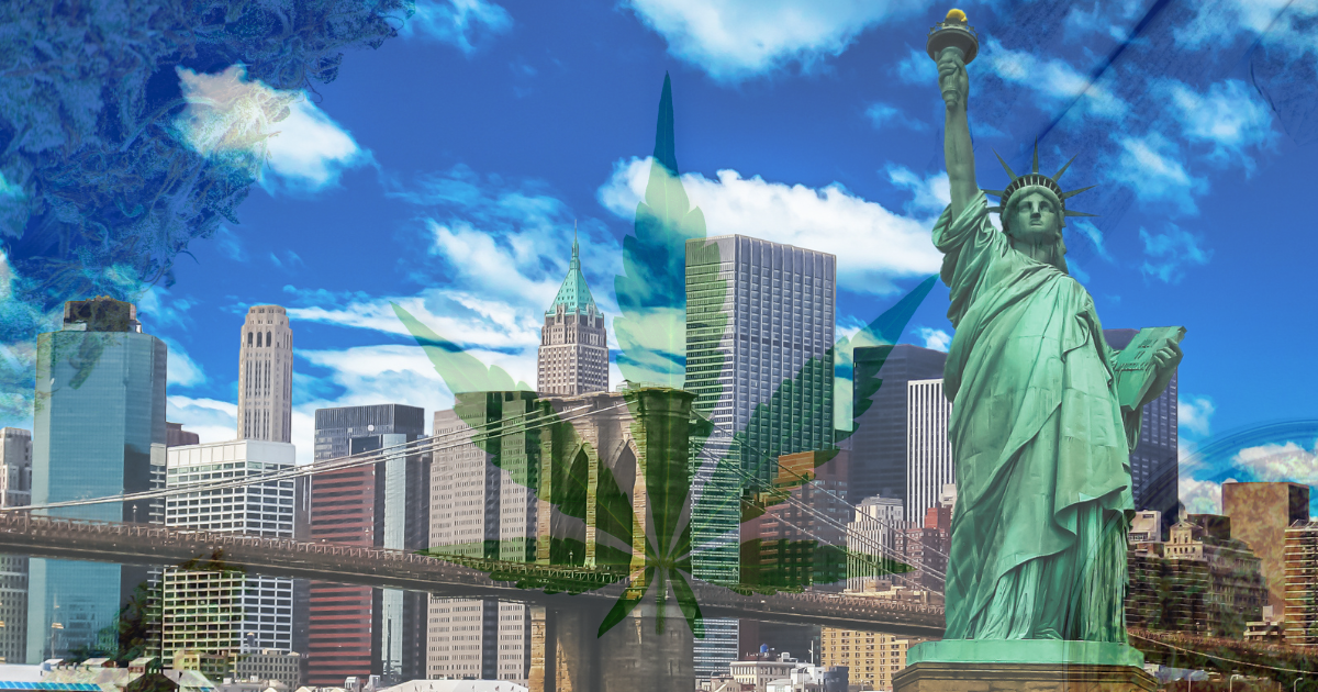 marihuana Nowy Jork