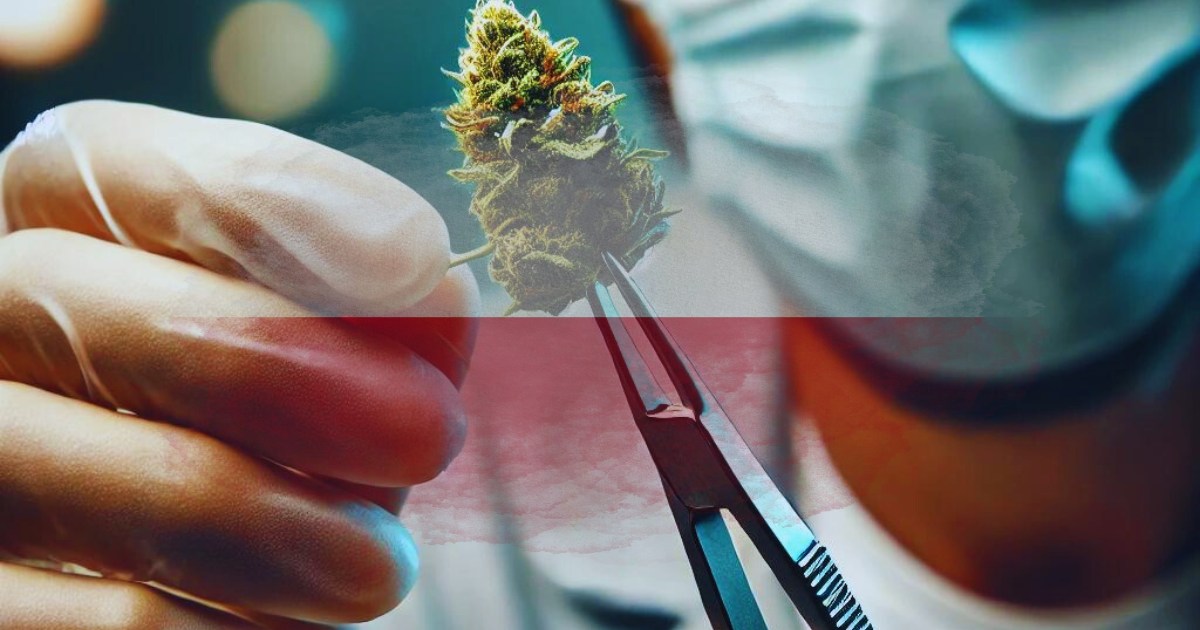 medyczna marihuana produkty
