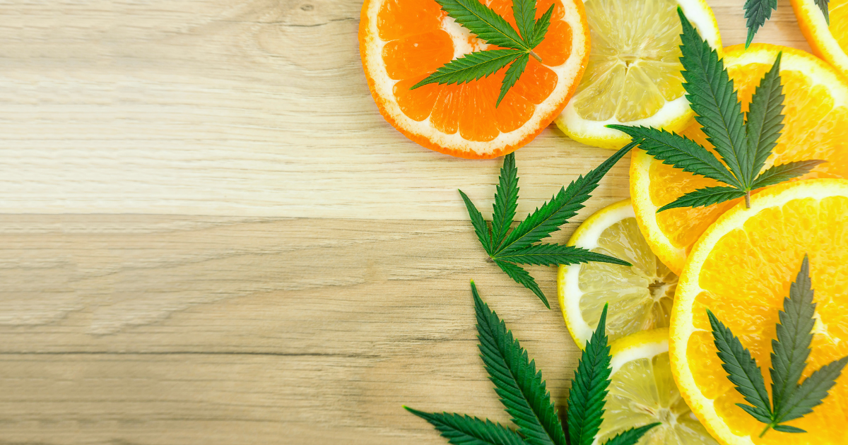 terpeny w marihuanie