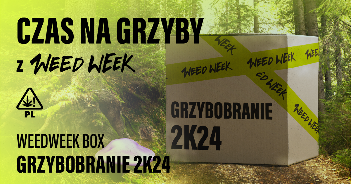 Box Grzybobranie 2K24