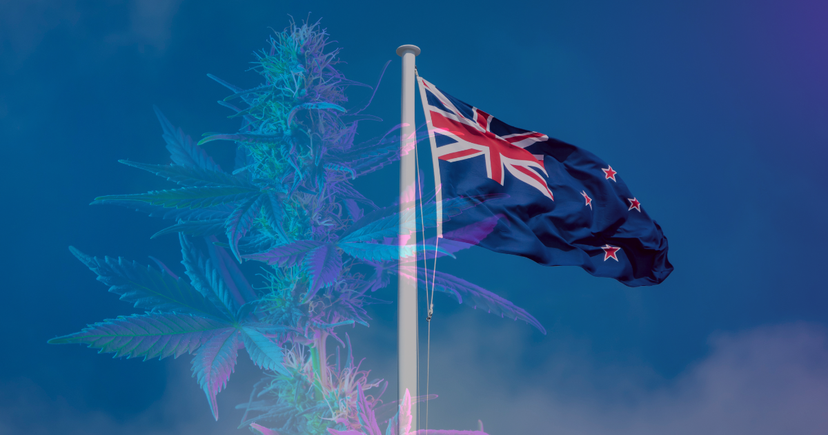 marihuana Nowa Zelandia