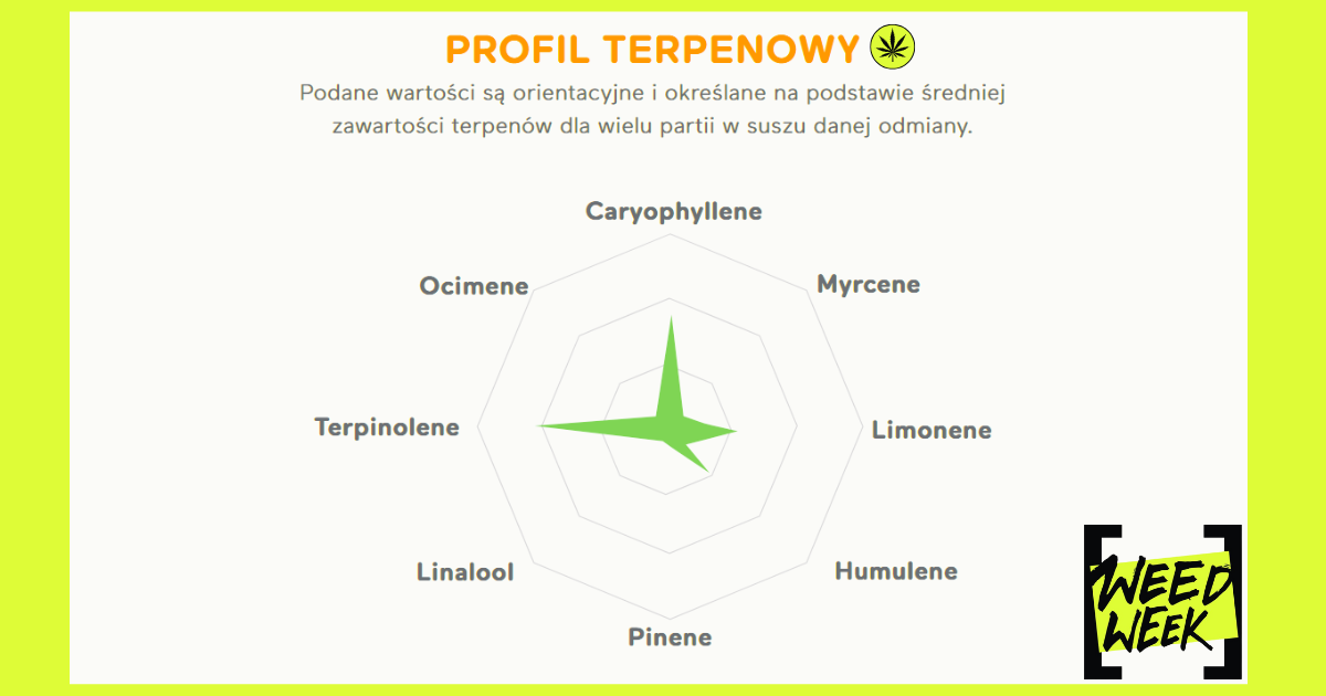 Canopy Growth 25