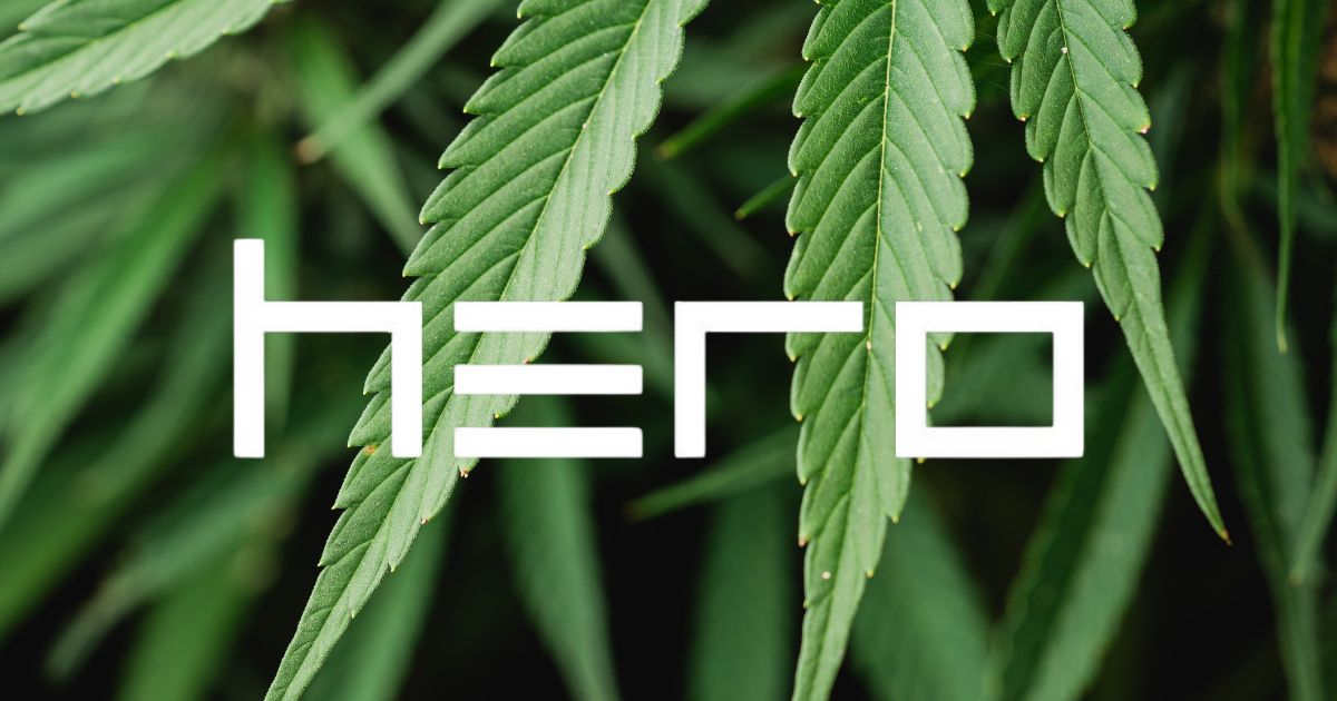 logo hero i konopie