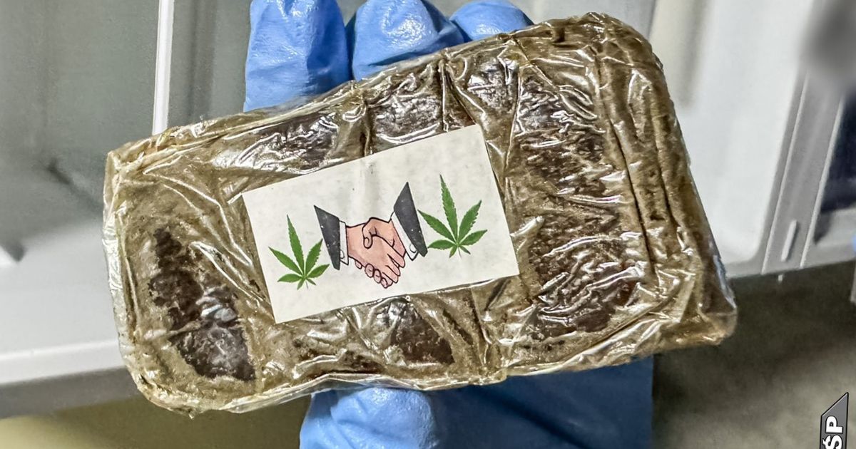 haszysz zatrzymany przez policję