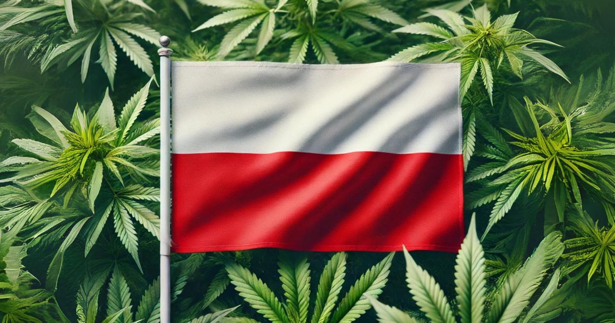flaga polski i konopie