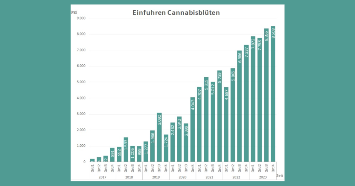konopie Niemcy legalizacja