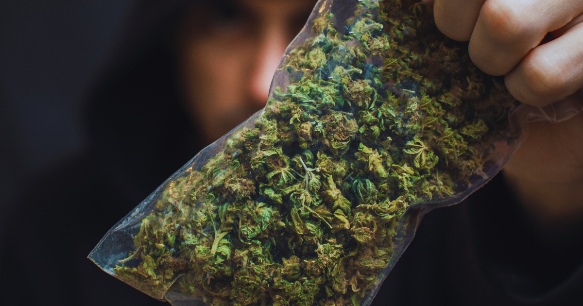 Niemcy marihuana