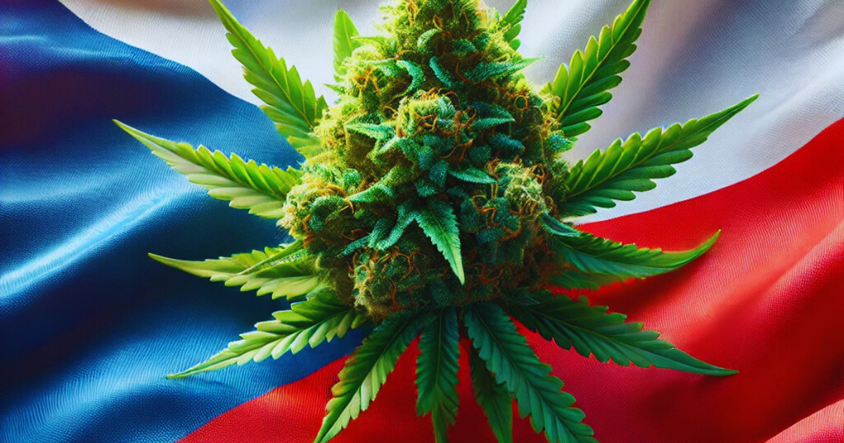 medyczna marihuana Czechy