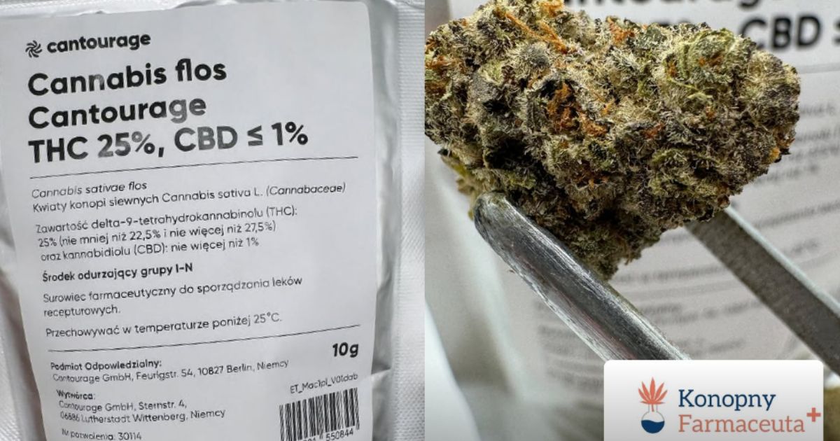 Opakowanie i susz medycznej marihuany Mac1