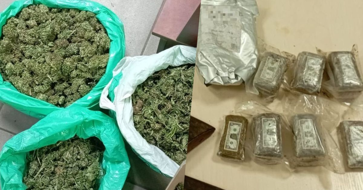 marihuana zatrzymana podczas interwencji policji