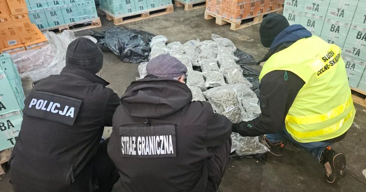marihuana zatrzymana w transporcie wina