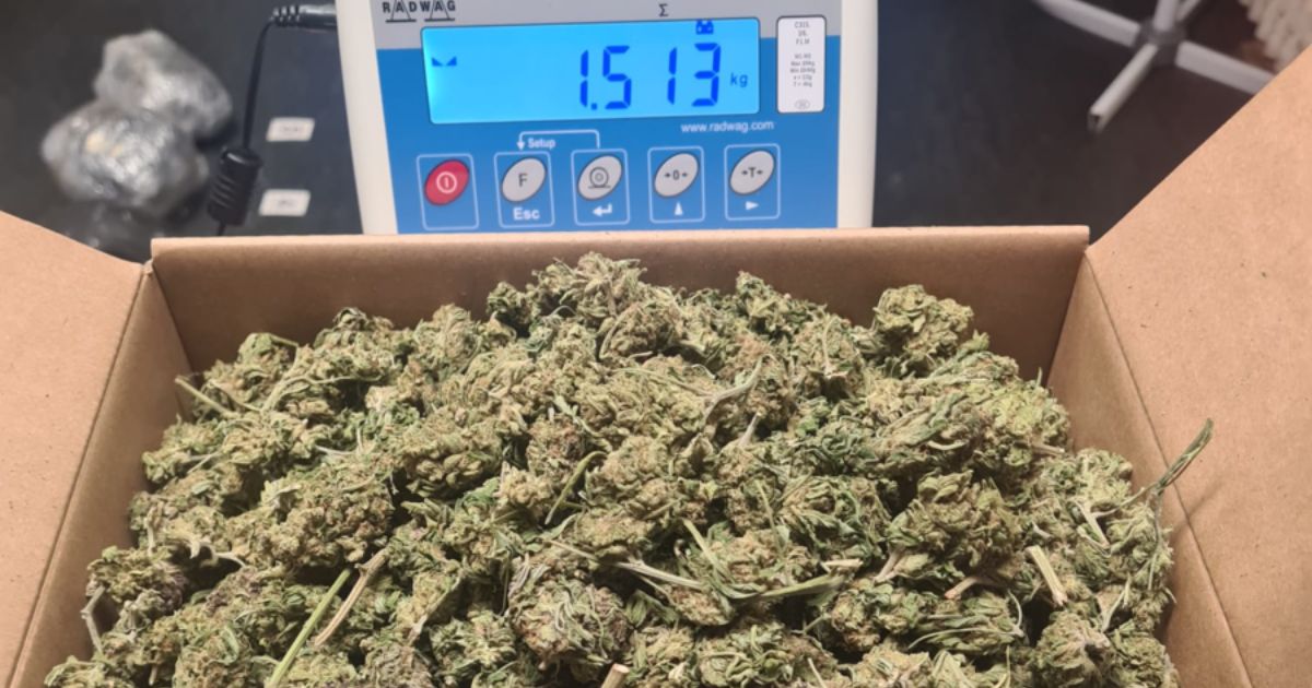 marihuana zatrzymana u policjantów z namysłowa