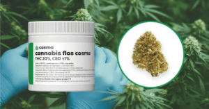 Balasa (Cannabis flos Cosma THC 20%, CBD 1%)