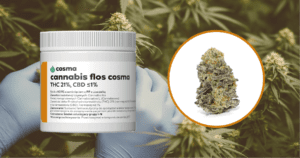 Mac Monkey (Cannabis flos Cosma THC 21%, CBD 1%)