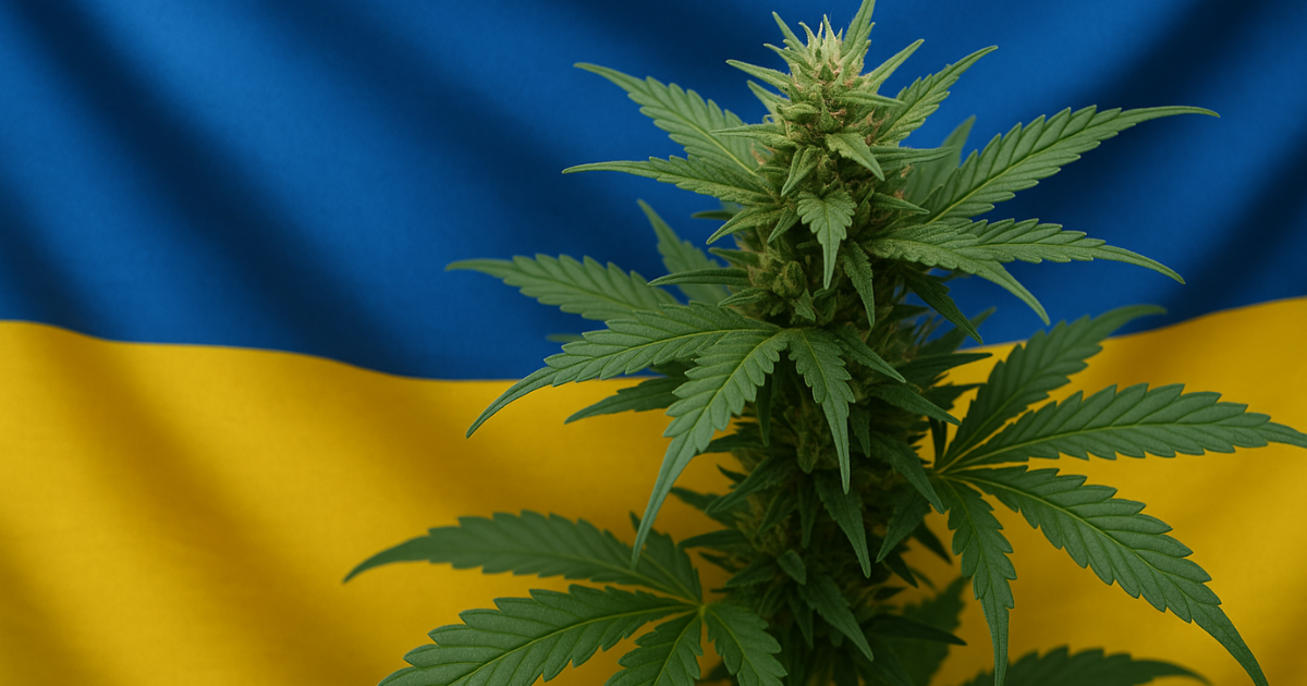Ukraina - import medycznej marihuany