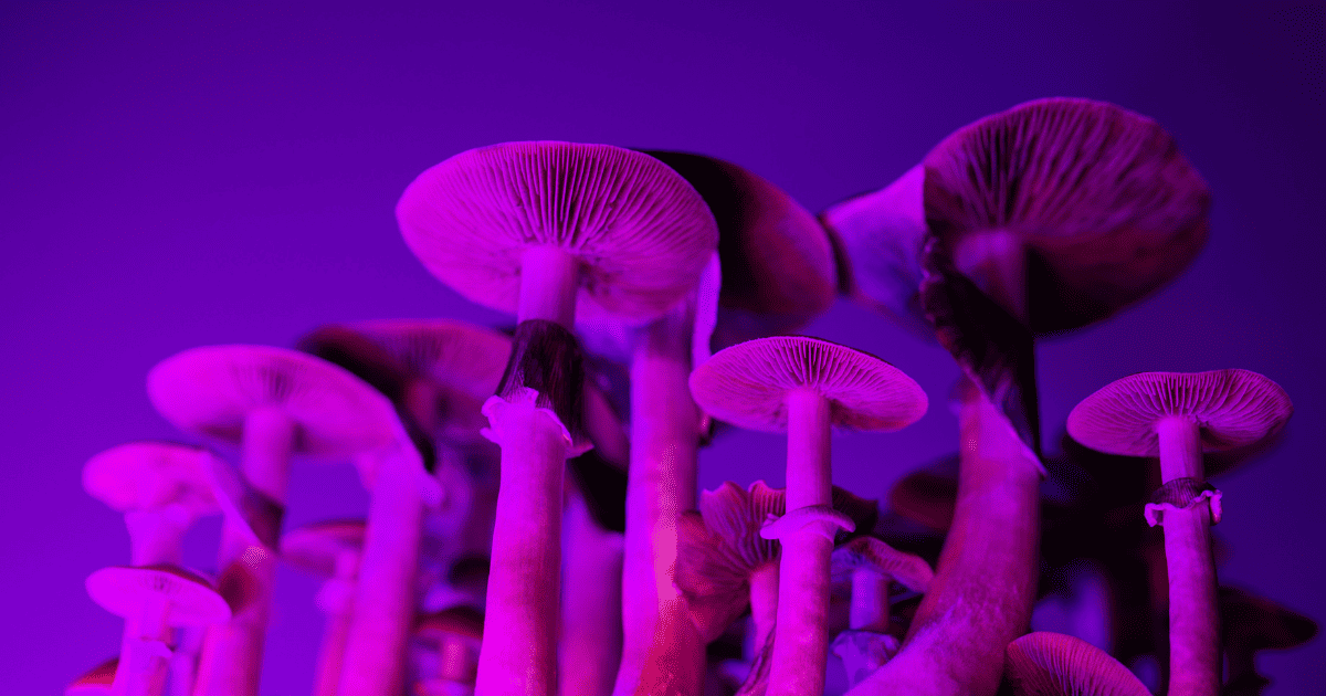 leczenie depresji psylocybiną