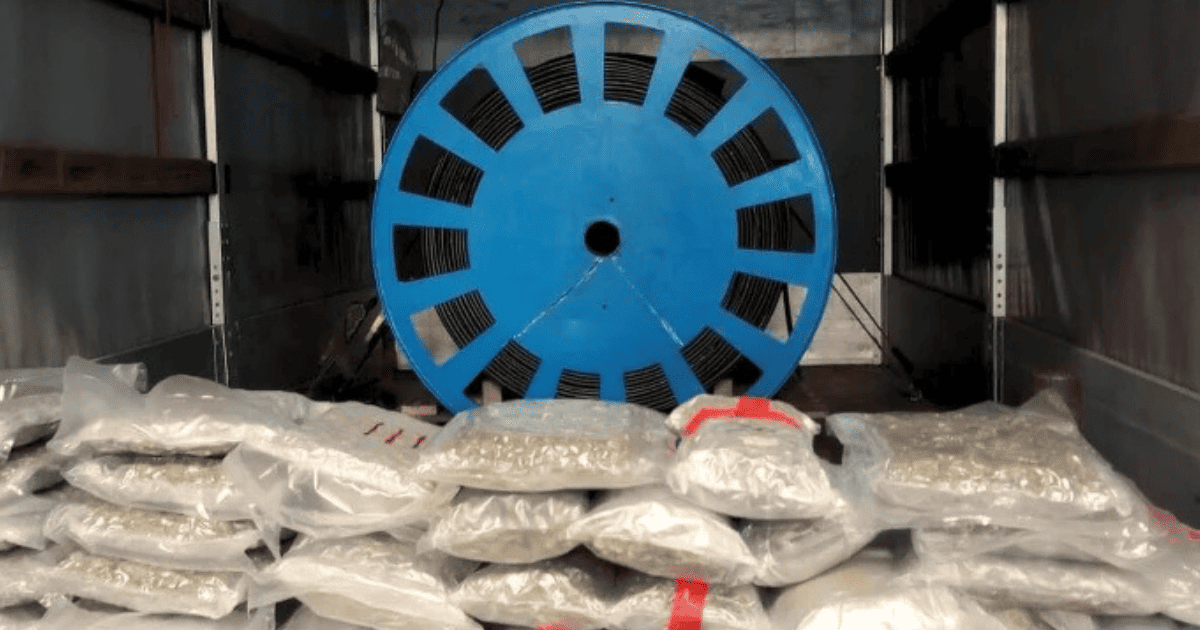 36 kg marihuany