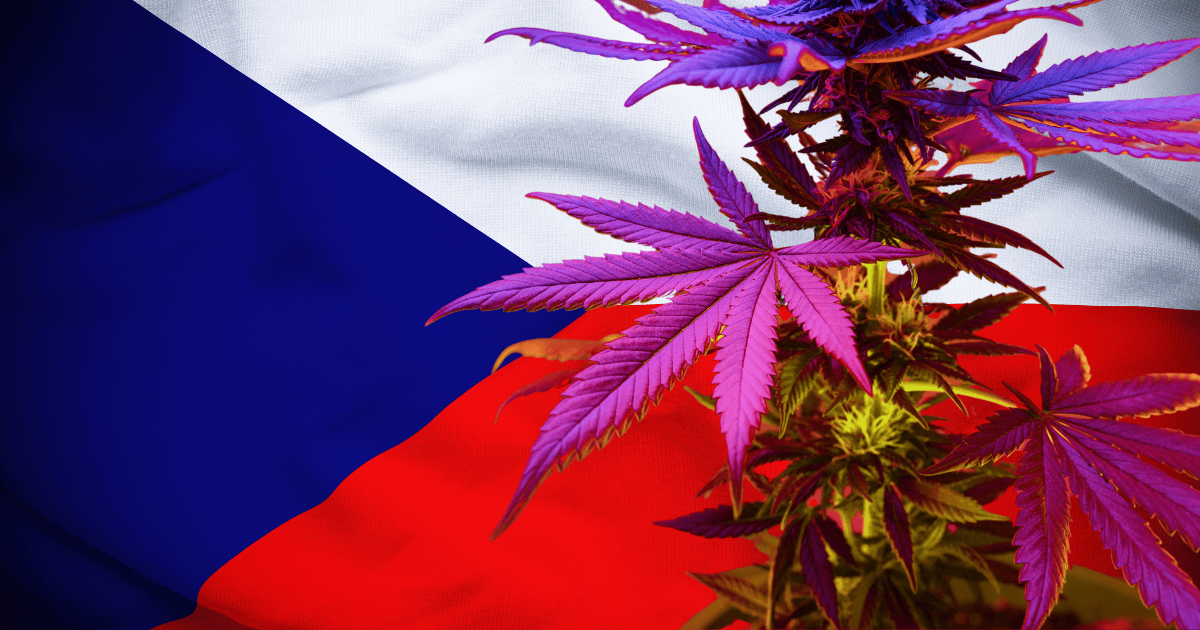 legalizacja w Czechach