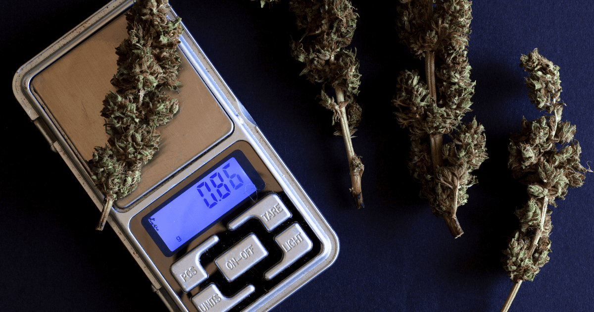 marihuana z Hiszpanii
