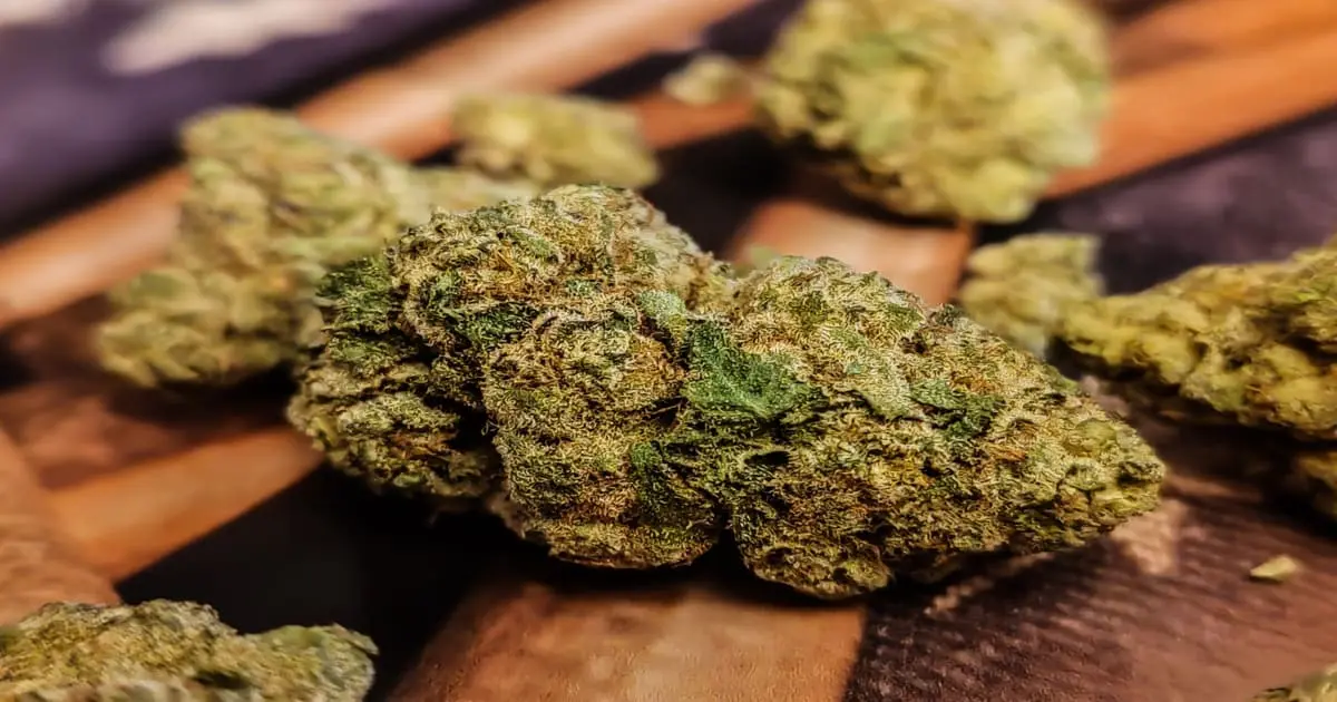 medyczna marihuana odmiana gelato33