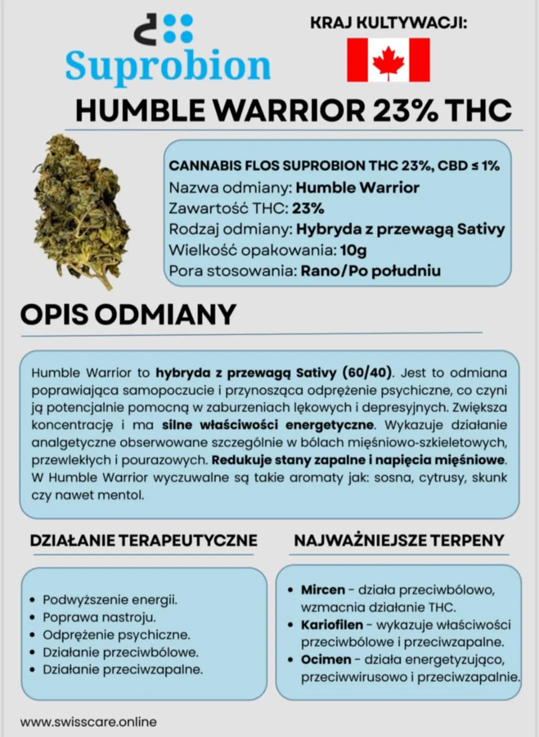 odmiana humble warrior