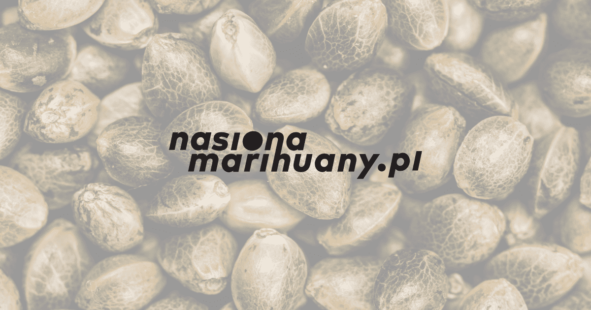 sklep z nasionami marihuany