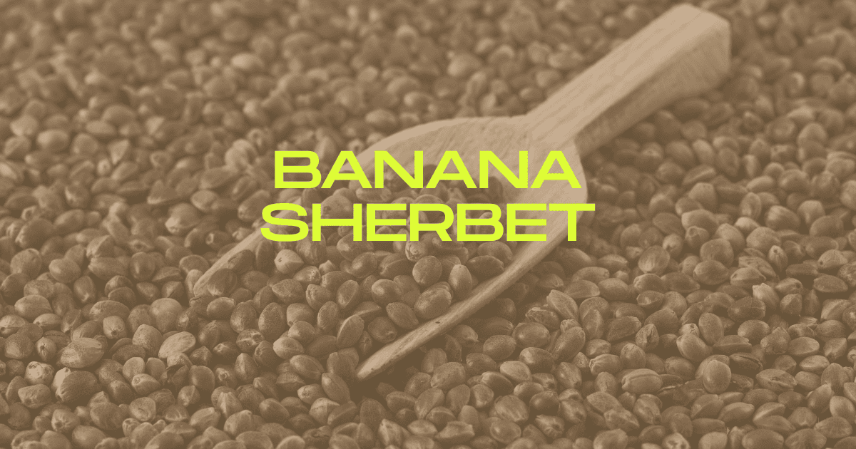 banana sherbet