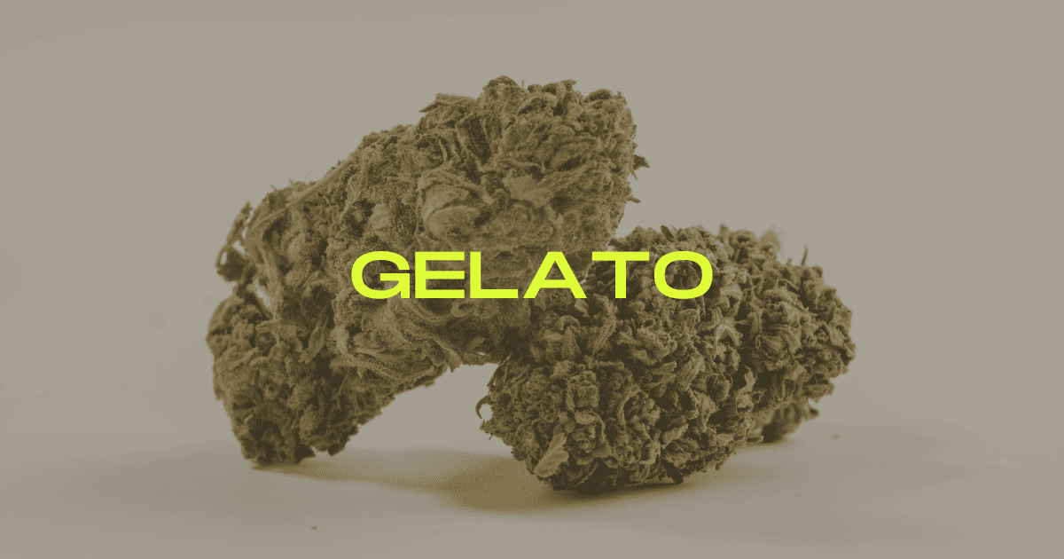 gelato