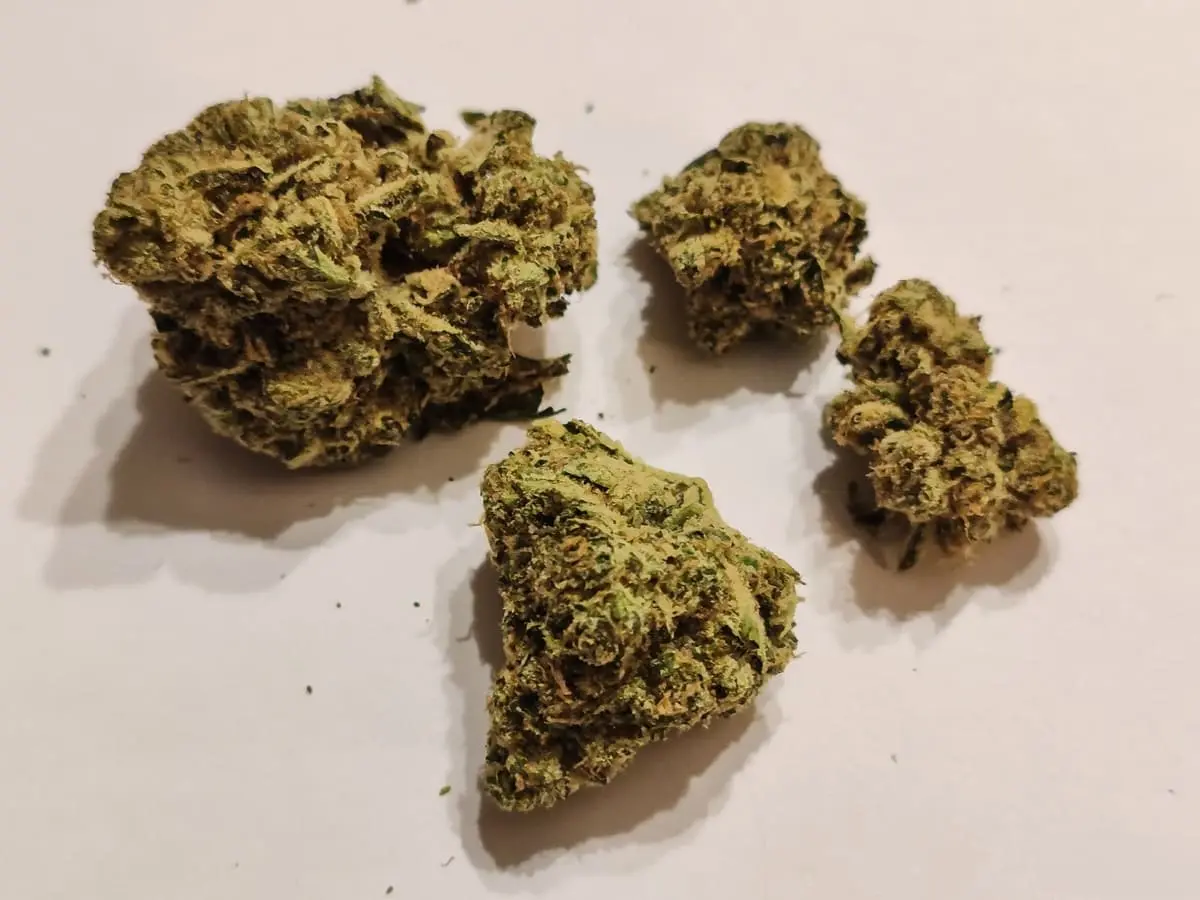 snowtorious krypton