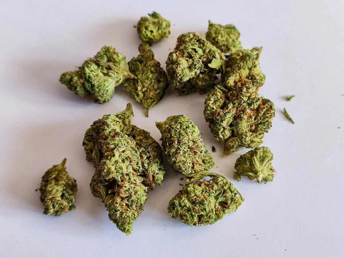 medyczna marihuana odmiana bok