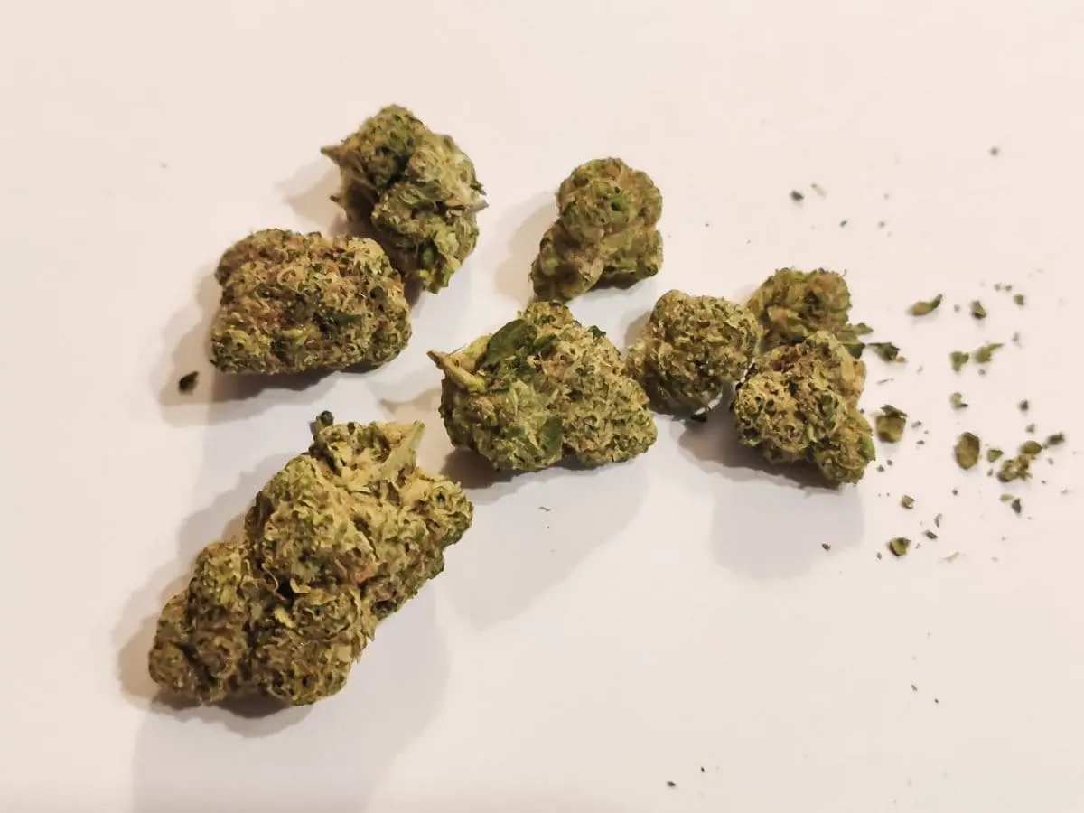 electric honeydew