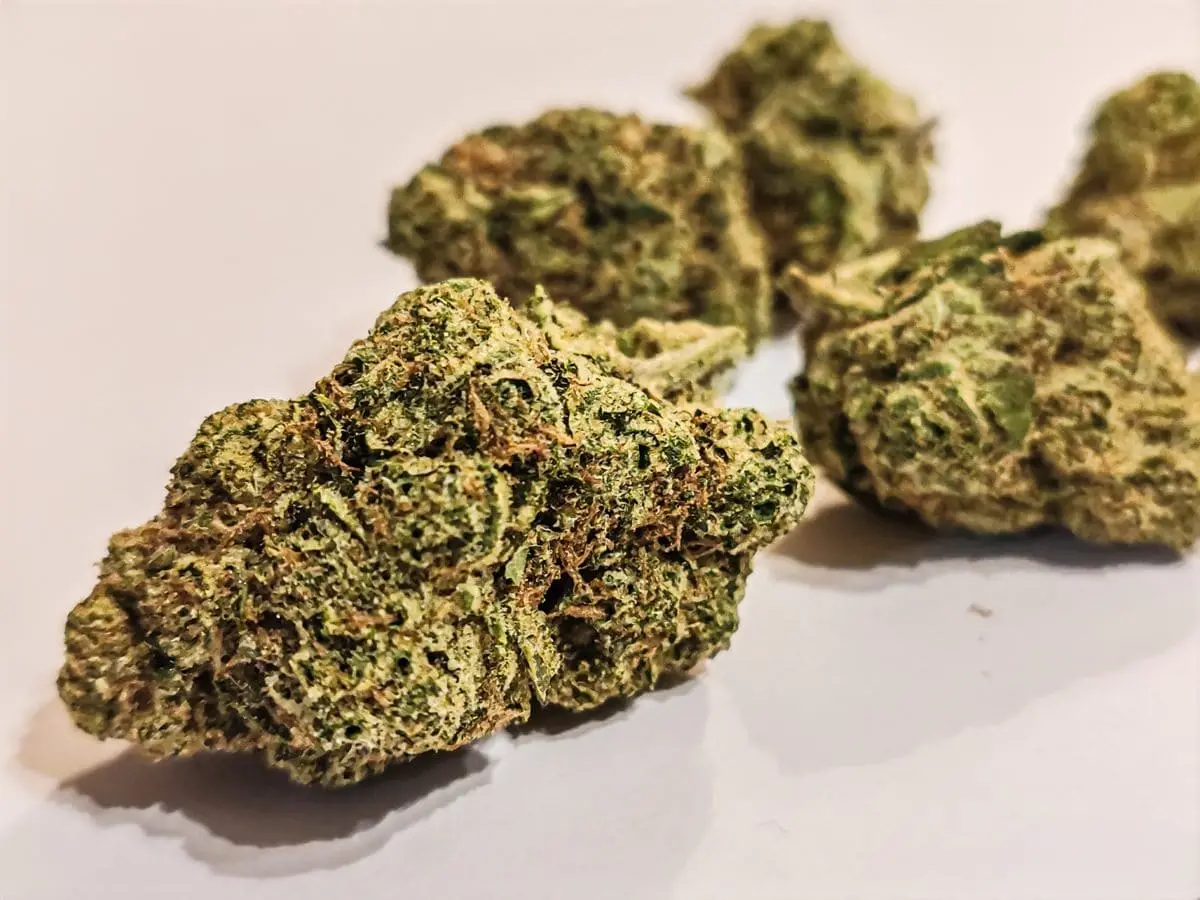medyczna marihuana odmiana ehd