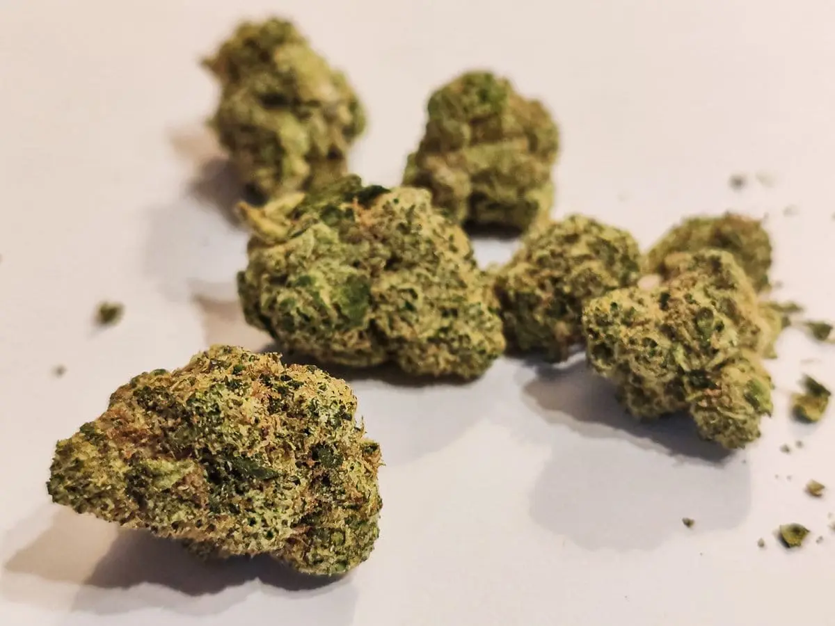 medyczna marihuana odmiana ehd