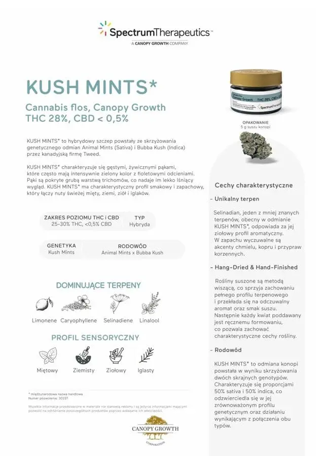 odmiana kush mints