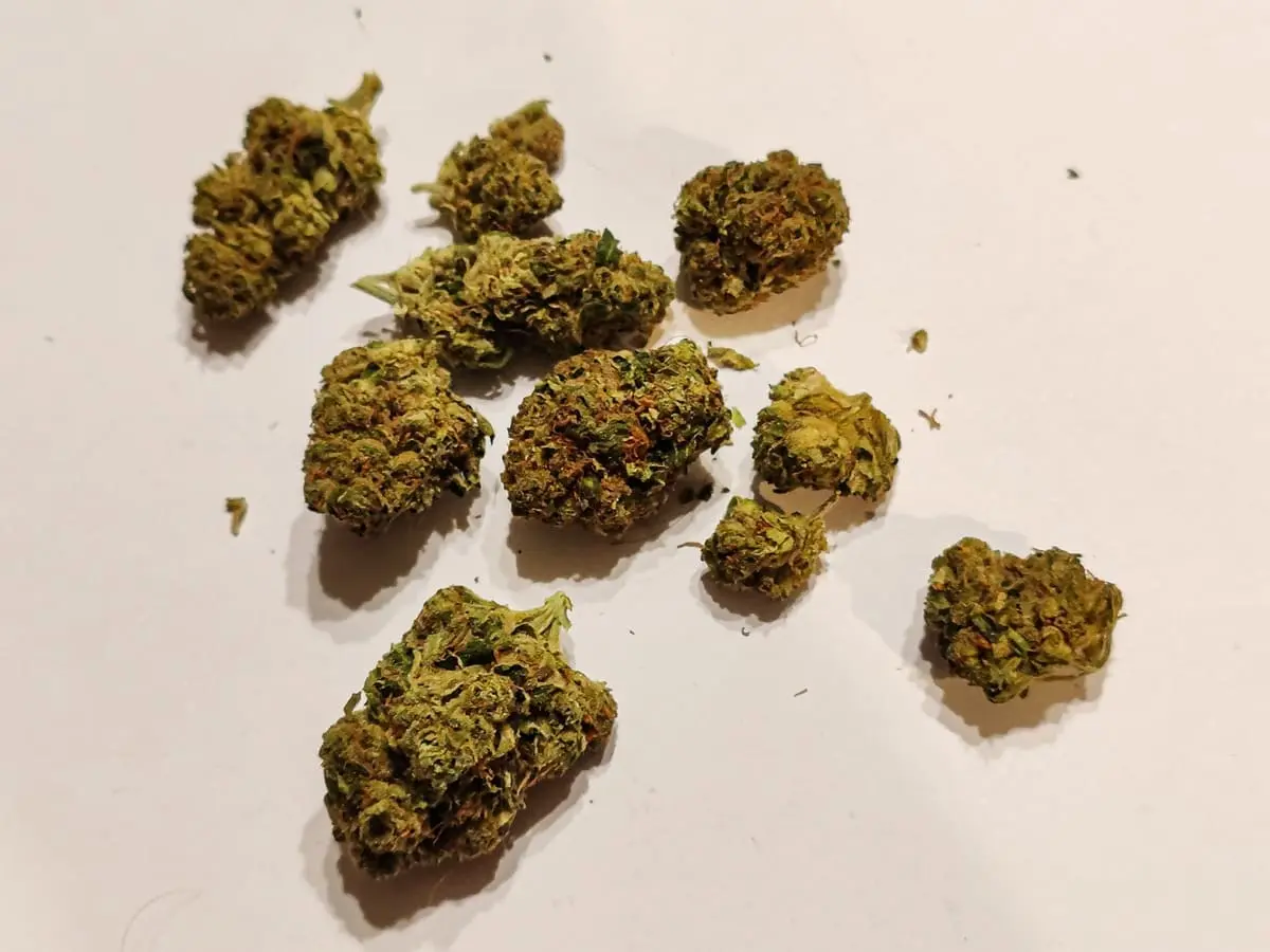 Hindu Kush