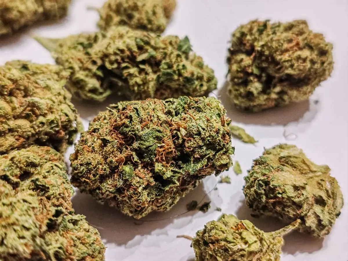 Hindu Kush