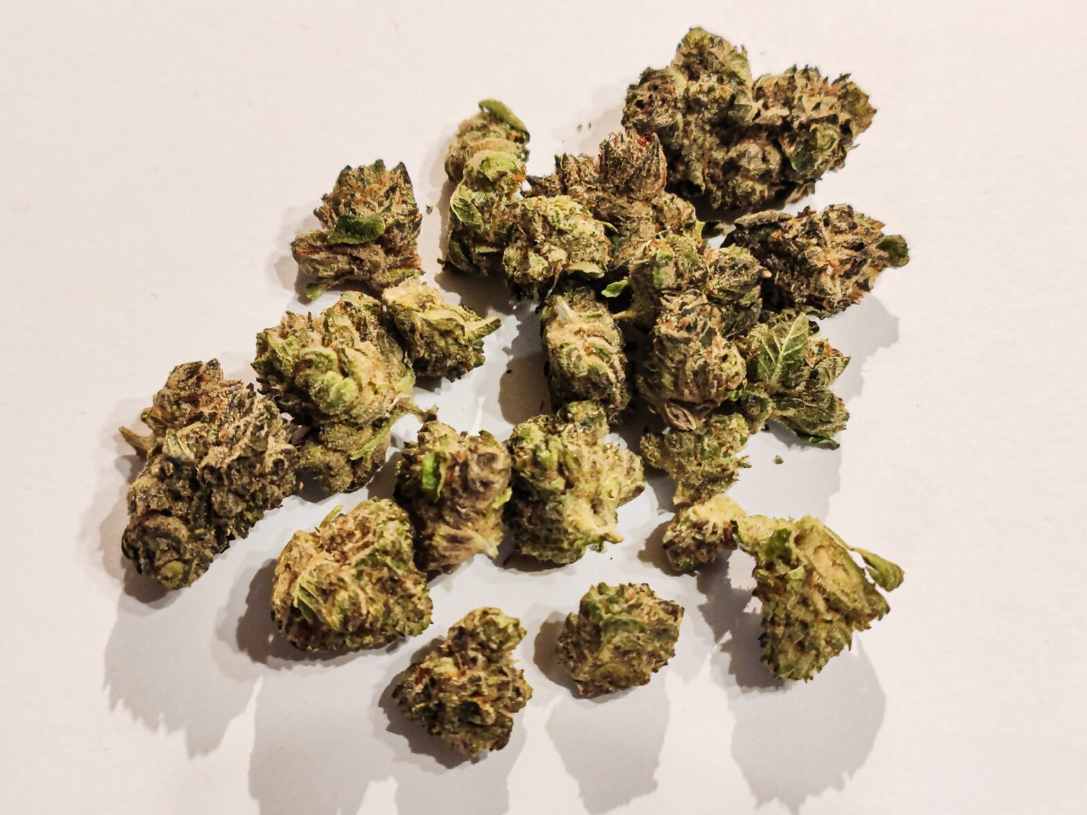 chemango kush