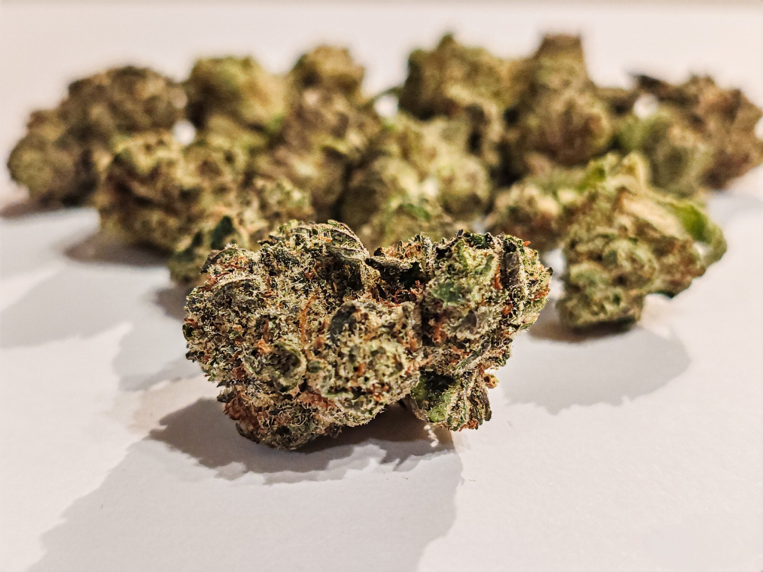 chemango kush