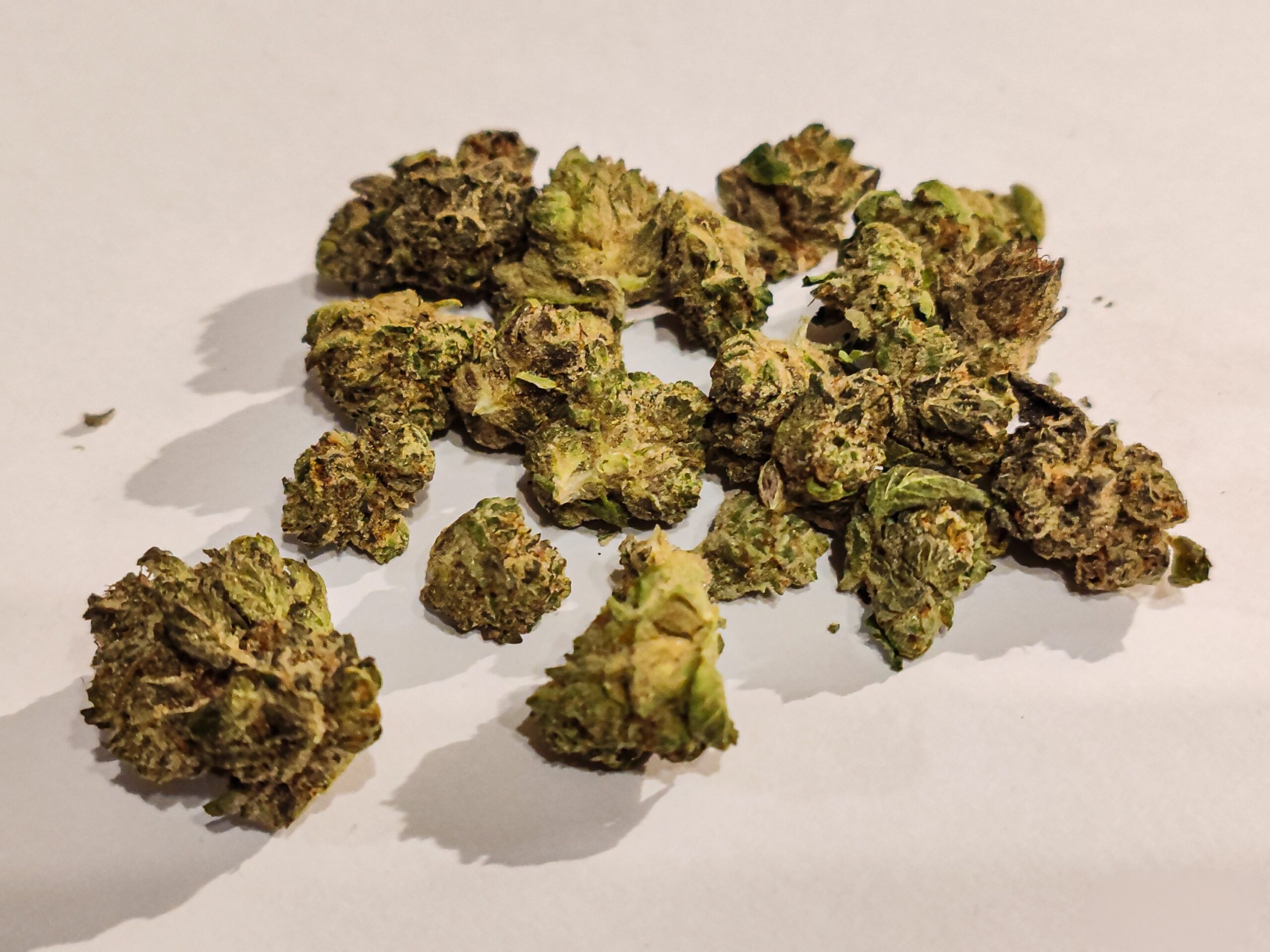 chemango kush