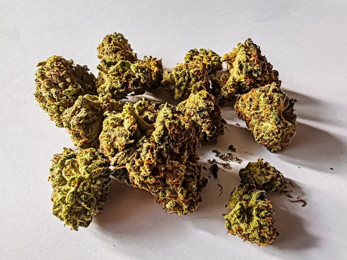 Lilac Diesel