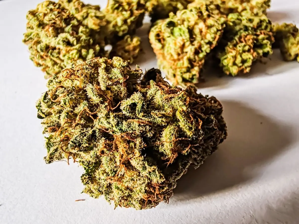 lilac diesel